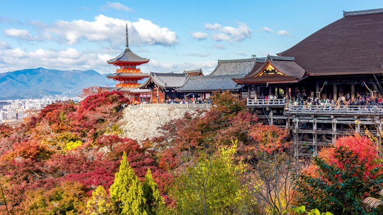 Kiyomizu-dera temple during autumn in Kyoto.