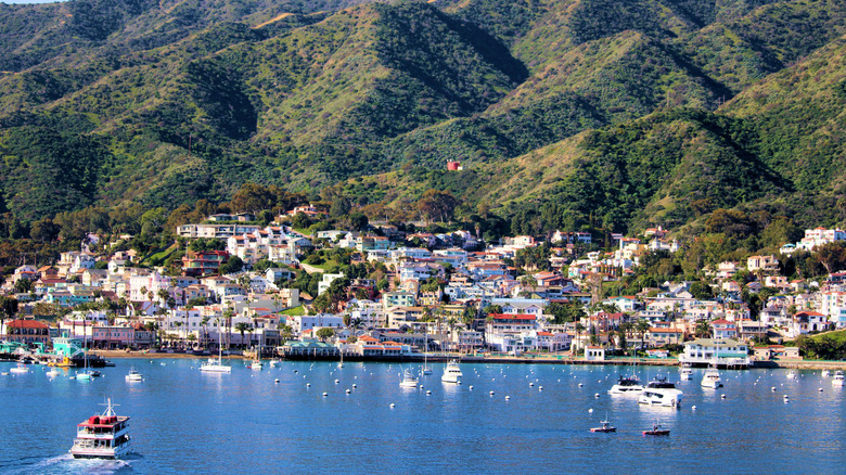 Avalon's hilly geography