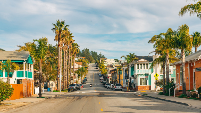 The palm tree-lined streets of Avila Beach