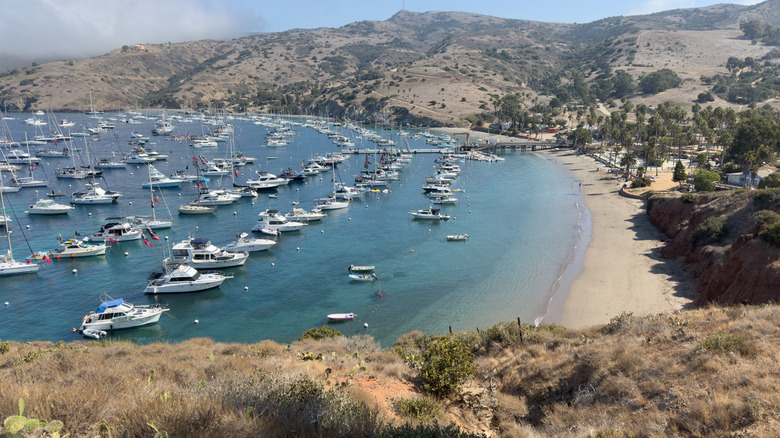 Boats sitting serenely on Two Harbors' blue waters