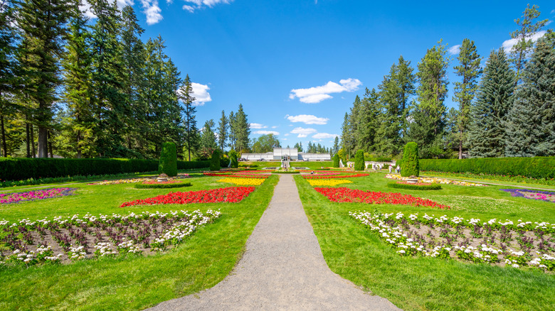 Colorful flower beds in a grassy field, flanked by pine trees in Spokane's Manito Park