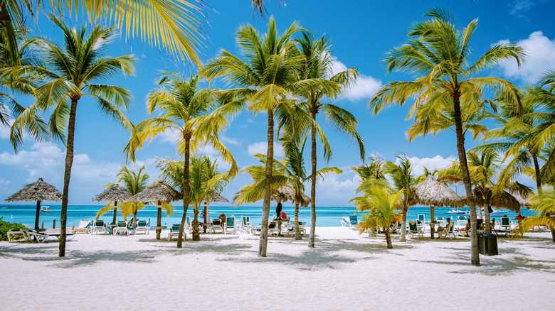 vacationers under palm trees