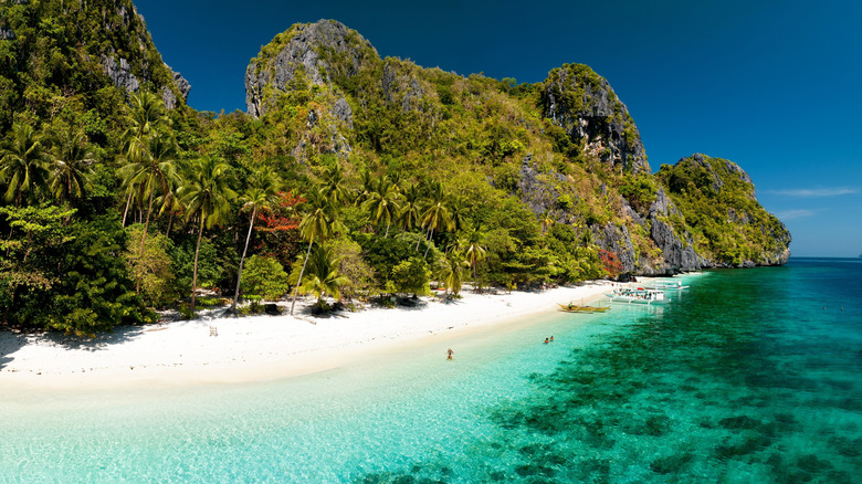 Forested cliffs, palm trees, a white sand beach and blue green waters under blue skies of Entalula Island
