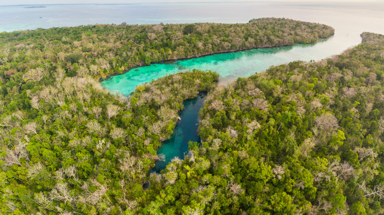 a lagoon rimmed by forests and cliffs in Bair Island, Kei Islands, Indonesia