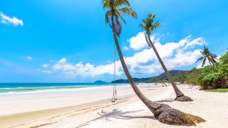 Two palm trees with empty swings on a white sand beach ringed by mountains and blue waters