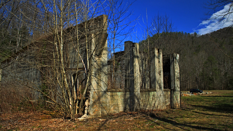 Ruins of a building in Mortimer, North Carolina against dead trees and blue skies
