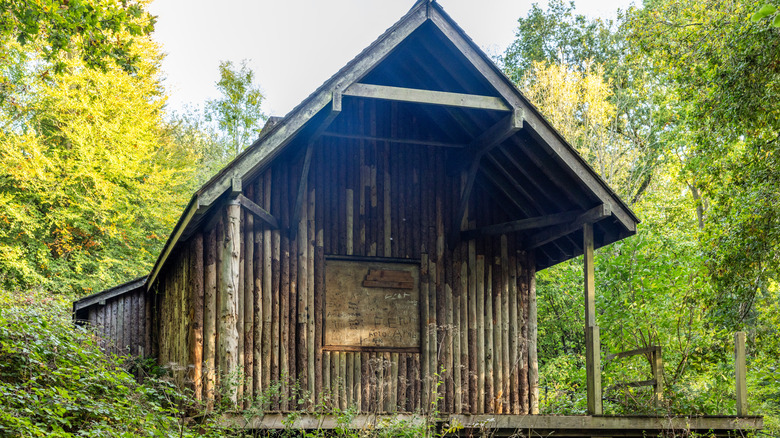 Abandoned cabin in woods