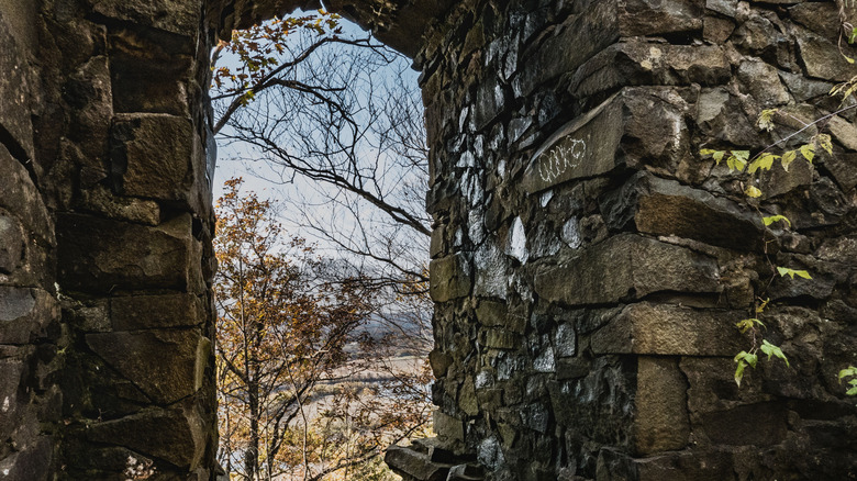 Window at abandoned Eyrie House