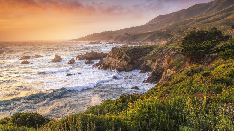 Trees and bushes along the hilly coastline under a sunsetting sky in Big Sur, California