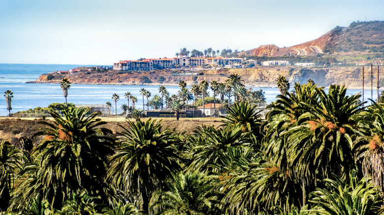 Palm trees and buildings perched next to the ocean in Palos Verdes Peninsula in California