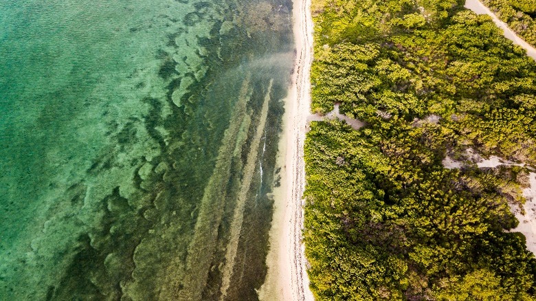 Aerial view of Cayman islands