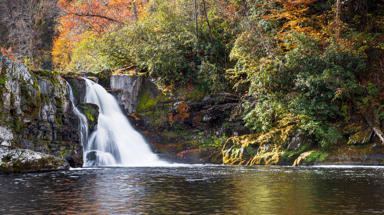 Autumn colors at Abrams Falls in Great Smoky Mountains National Park