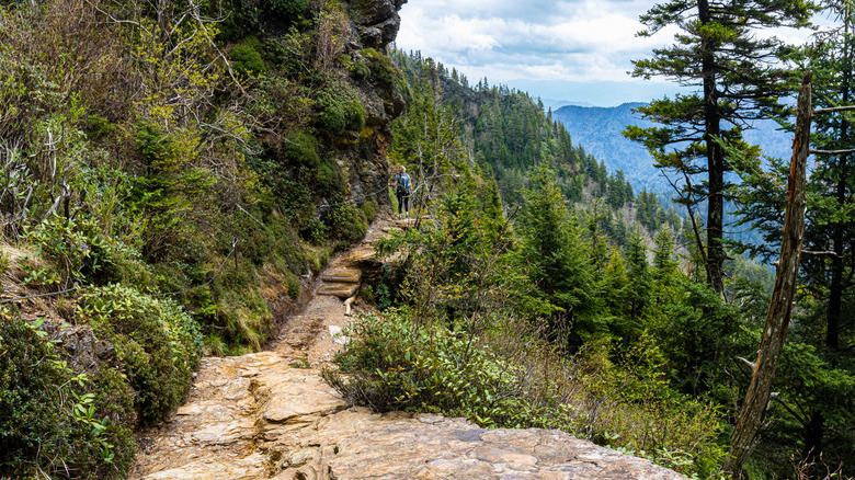 The Alum Cave Trail in Great Smoky Mountains National Park