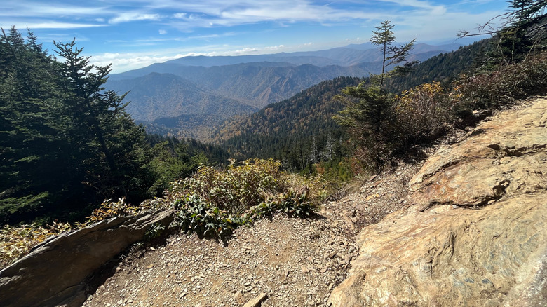 Views of the mountains from the Mount Le Conte Trail, Great Smoky Mountains National Park