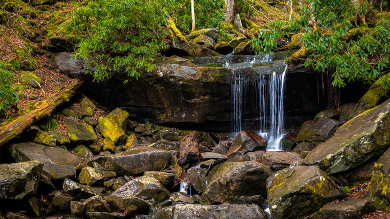 Beautiful small forest waterfall on Rainbow Falls Trail in Great Smoky Mountains National Park