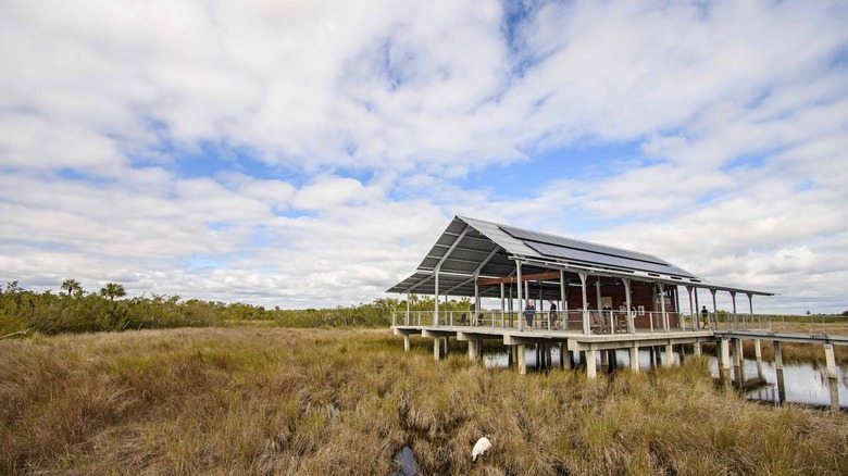 An elevated wooden pavilion sits on stilts above a grassy marsh