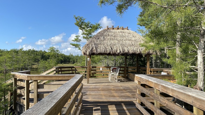 a pavilion with a grassy roof sits on a large boardwalk deck area with two white rocking chairs beneath it; cypress trees surround the deck