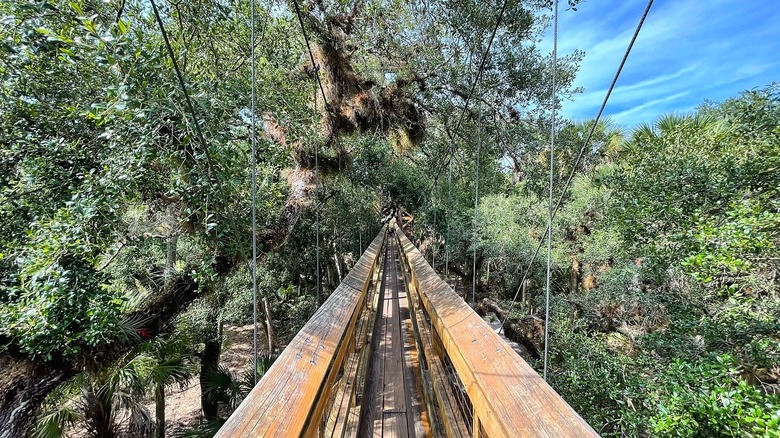 a narrow wooden suspension boardwalk extends through thick foliage