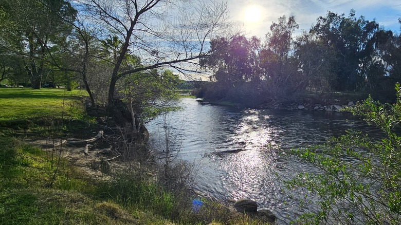 Kern River along a field and some trees