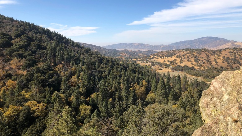 Forested mountains around Tehachapi Mountain Camp