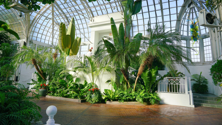 Foliage and trees inside of a white building at the Franklin Park Conservatory in Columbus, Ohio