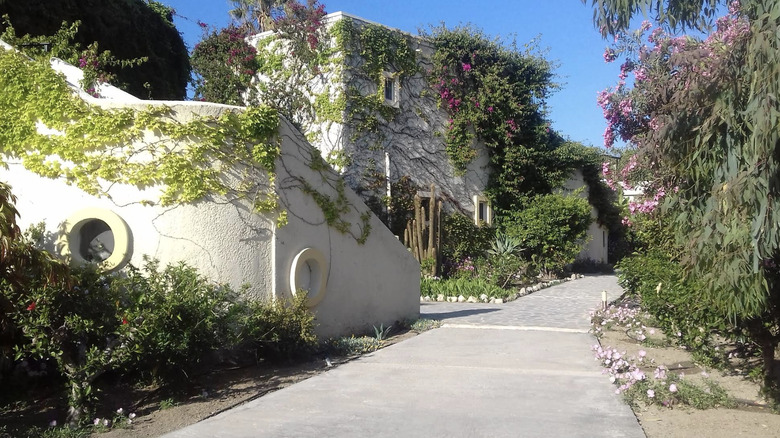 White hotel walls covered with foliage and flowers at the Apollon Hotel in Kos