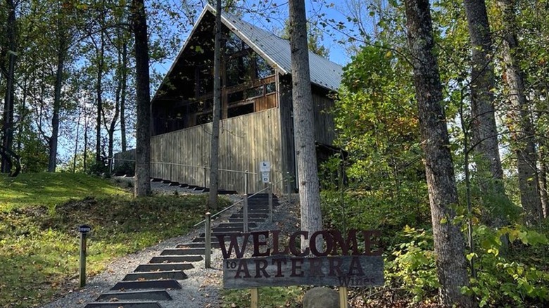 The tasting room at Arterra Wines surrounded by trees on a hill with a staircase leading up to it