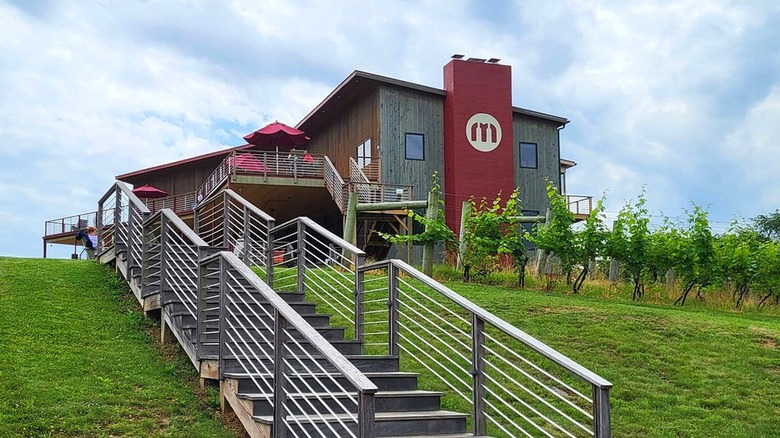 A staircase leading to the Muse Vineyards tasting room with grapevines visible on the right side