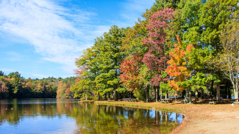 Connecticut's Burr Pond beach in autumn with colorful foliage