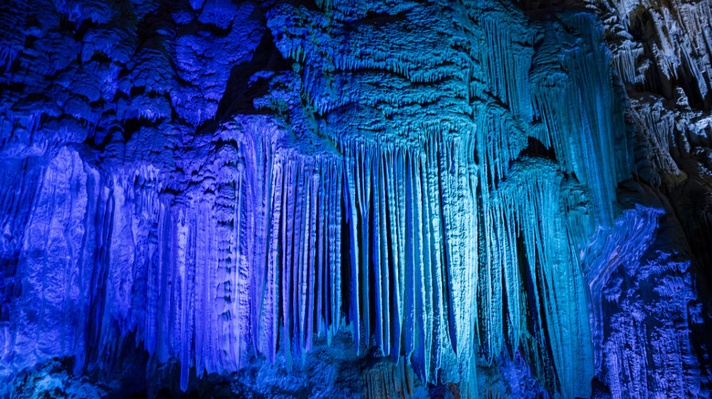 The interior of Lake Shasta Caverns, bathed in blue light that highlights the cave's formations