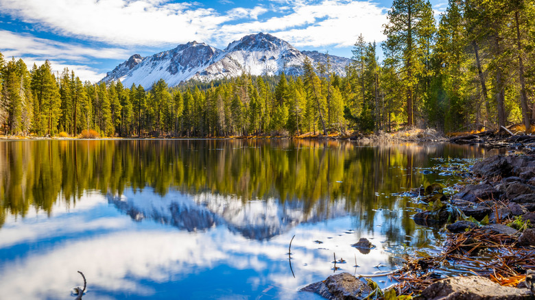 A snow covered mountain behind pine trees and a reflective lake in Lassen Volcanic National Park
