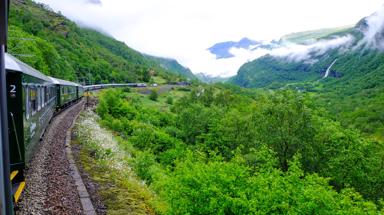 Train line running through green Norway