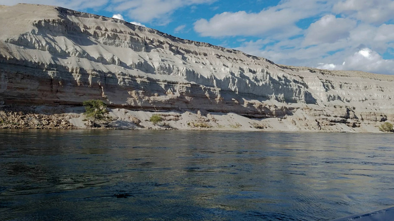 The White Bluffs rising from the Columbia River.