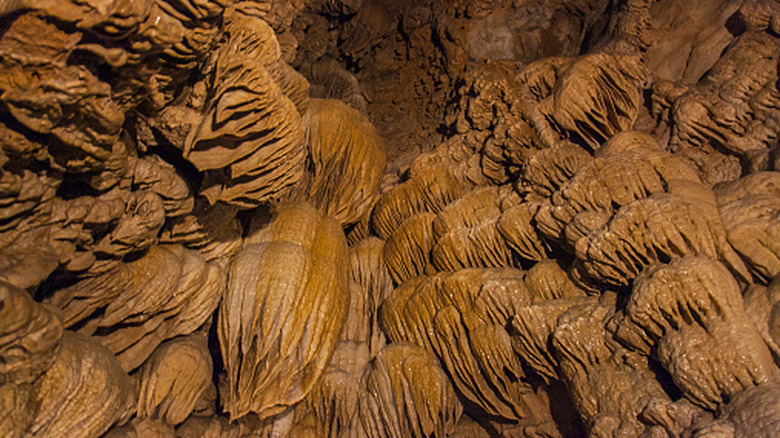 The strange cave formations of Oregon Caves National Monument.