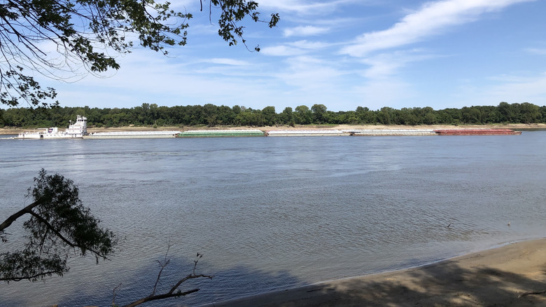 View of the Mississippi River from the Seventy-Six Conservation Area in Missouri