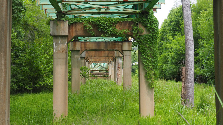 Under a dilapidated bridge in the abandoned town of Times Beach, Missouri