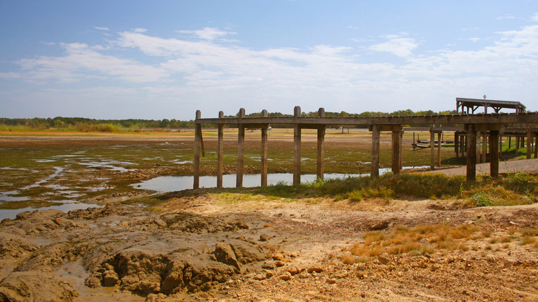 A dock and surrounding landscape at Lake Tyler in East Texas during a severe drought