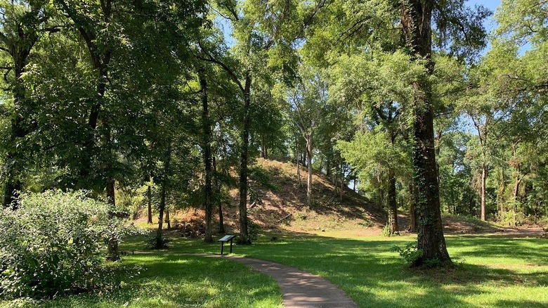Side view of an indigenous mound amid green forest at Letchworth-Love Mounds Archaeological State Park in Northern Florida.