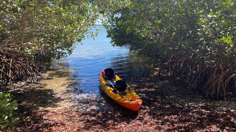 A yellow kayak sits on the mangrove-lined shores of Mound Key.