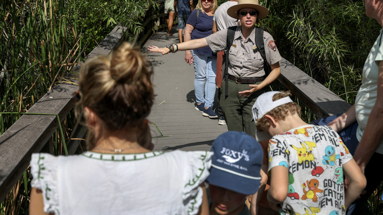 A ranger leading a walking tour inside Everglades National Park