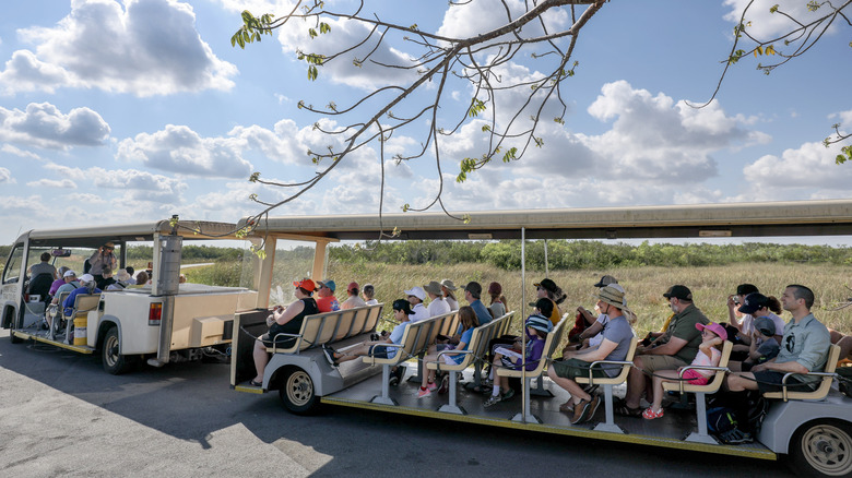 Visitors on one of Shark Valley's popular tram tours