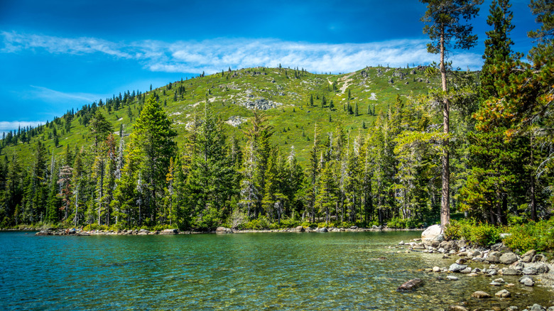the castle lake shoreline with clear blue waters, a small mountain rises in the background with small and large pines dotting the far shoreline