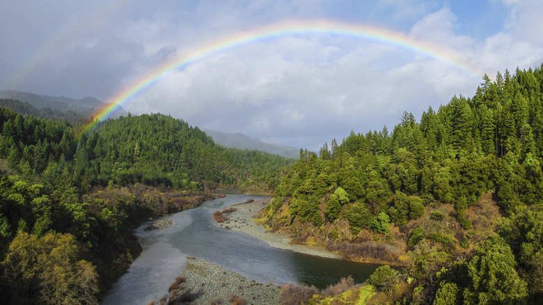 a rainbow arches over trinity river which forks in two, both sides of the river rise up with pine forests covering the hillsides