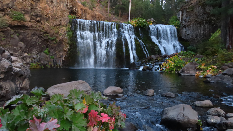water spills over the McCloud falls into a small pond with colorful leaves lining the shoreline