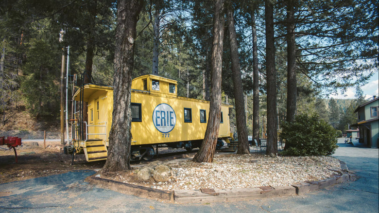 yellow railroad car with Erie 777 painted on its side, flanked by large pines.