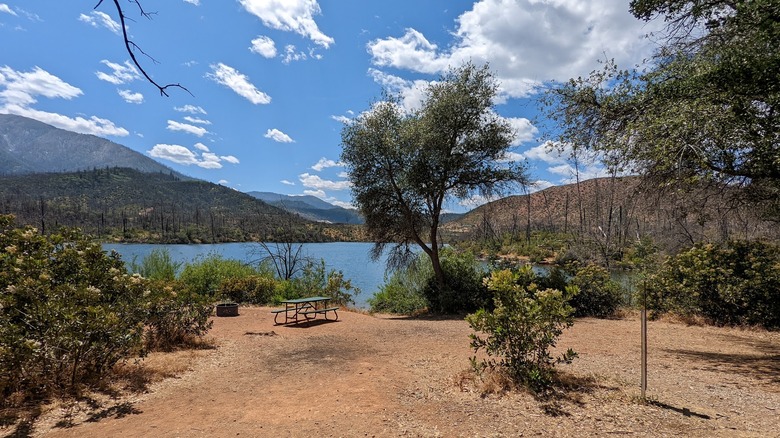 a small bare tent site with a picnic table and a few shrubs surrounding it; whiskeytown lake is in the distance with smaller hills behind it