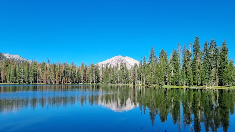 a lassen volcanic peak sticks out on the horizon with summit lake in the foreground; tall pines line the far shoreline