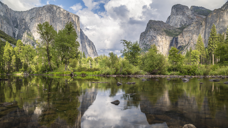 The granite mountains of Yosemite National Park and a forest reflecting in a lake