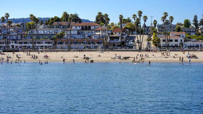 Santa Cruz and a stretch of shore