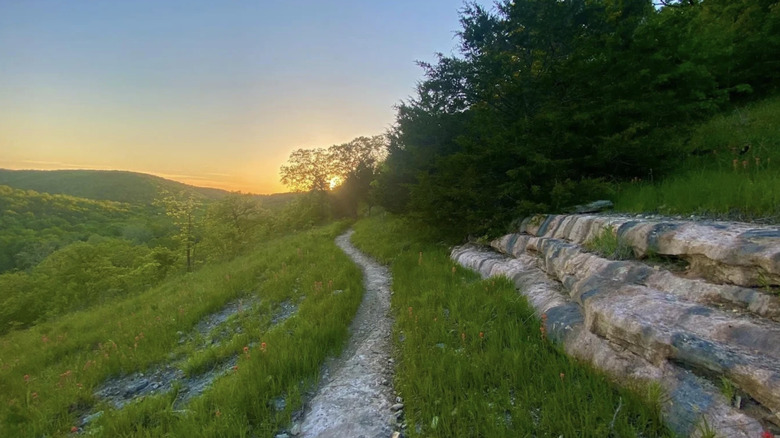 a trail winding through Busiek State Forest in Missouri, near Branson